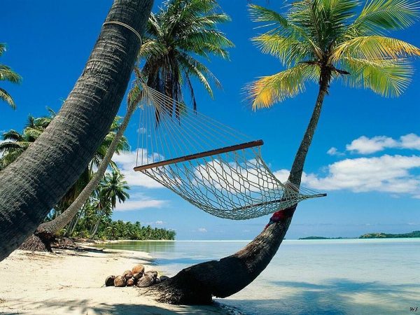 ‎Saint Martin Tour package